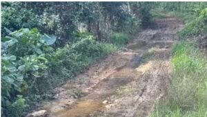 Club de Madres clama por arreglo de calles y caminos vecinales en Sabana Grande de  Cevicos