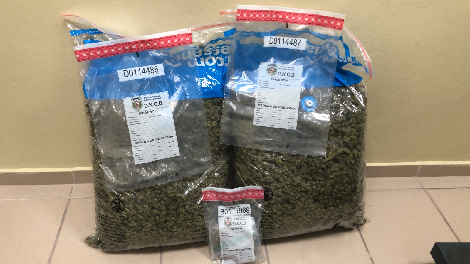 Detienen mujer llegó aeropuerto del Cibao con más de 30 libras de sustancia se presume es marihuana