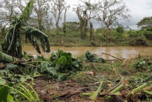 Gobierno entrega más de 116 MM a productores del nordeste afectados por Fiona