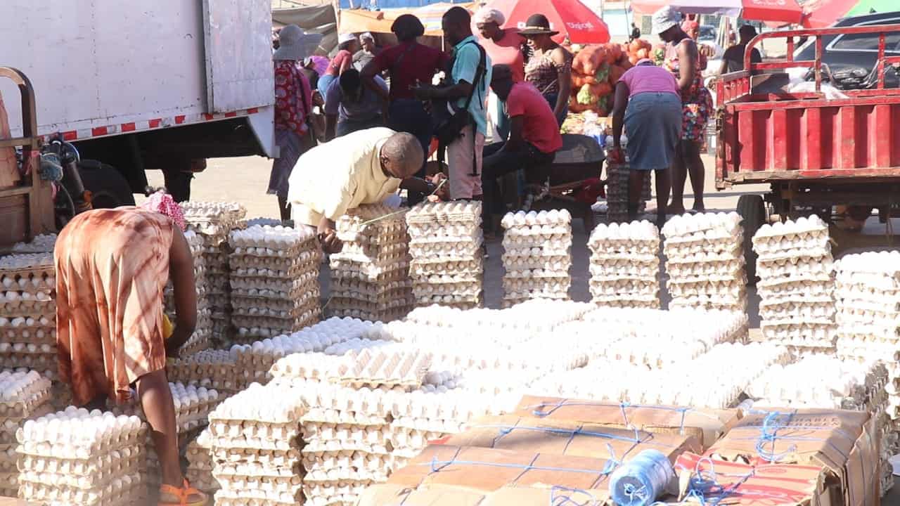 Productores piden Abinader revocar suspensión de exportación de huevos a Haití