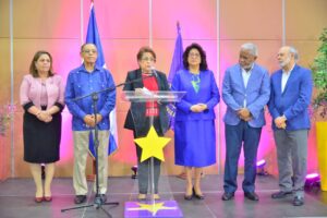 PLD escogerá el 19 de febrero titulares de 6 secretarías pendientes de elección