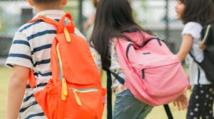 Ley 'Stop Woke': DeSantis prohíbe las clases de estudios afroamericanos por 