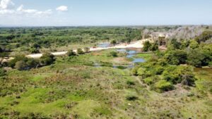 Por construcción de muro fronterizo en Montecristi ha destruido manglares y otras áreas protegidas 