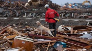 Banco Mundial: pérdidas por sismo en Turquía cuestan 34 mil millones de dólares, reconstrucción costaría el doble 