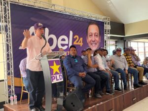 PLD estudia denunciar ante organismos internacionales al Gobierno y el PRM