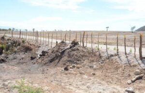 Productores denuncian supuestos abusos de poder de militares en la frontera
