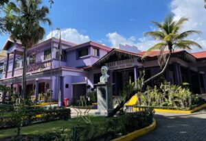 PLD contempla encuestas, primarias y asambleas para escoger candidaturas