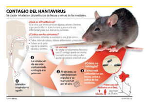 El hantavirus podría aumentar por el cambio climático en América Latina
