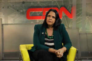 Minou Tavárez Mirabal dice Academia de Historia dio acceso a un criminal