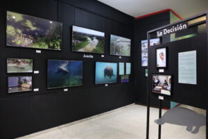 Museo Natural estrena dos exhibiciones temporales

