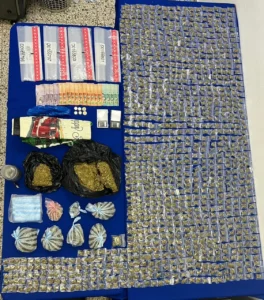 Desmantelan red microtráfico en Santiago; ocupan drogas y apresan ocho