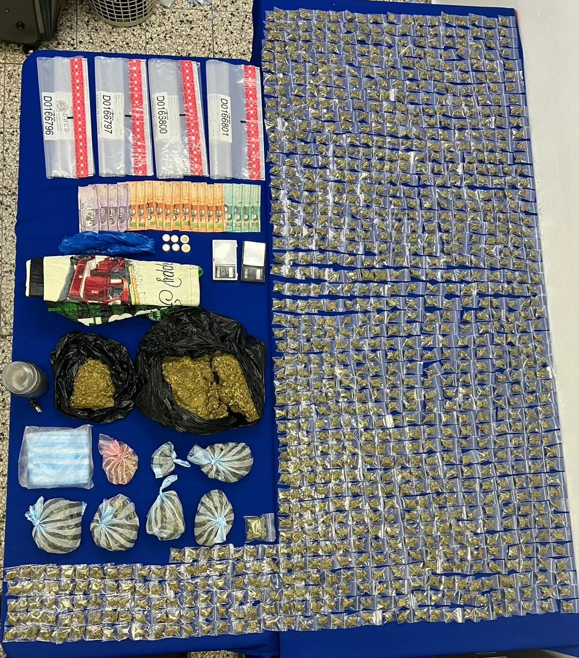 Desmantelan red microtráfico en Santiago; ocupan drogas y apresan ocho