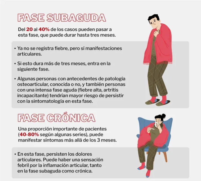 Claves para entender el virus chikungunya, el "virus que te dobla"