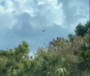 Brigadas continúan intentando sofocar incendio forestal en Punta Cana