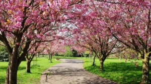 El hemisferio Norte se despide del invierno y da la bienvenida a la primavera