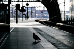 Huelgas alemanas paralizan la red ferroviaria y el tráfico de cinco aeropuertos