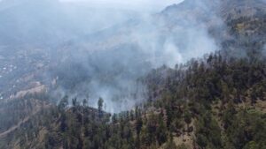 Genao asegura incendios son provocados por manos criminales para afectar al Gobierno