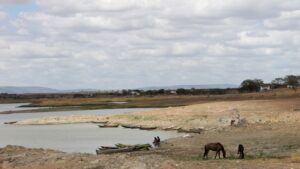 La FAO advierte de las posibles sequías en América ante la llegada de El Niño
