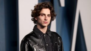 Actor Timothée Chalamet