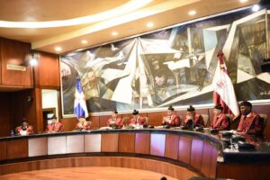 TC conoce 9 expedientes en audiencia pública; declara 8 en estado de fallo