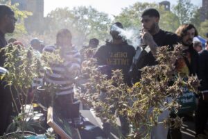 El estado de Minnesota legaliza el consumo recreativo de marihuana 