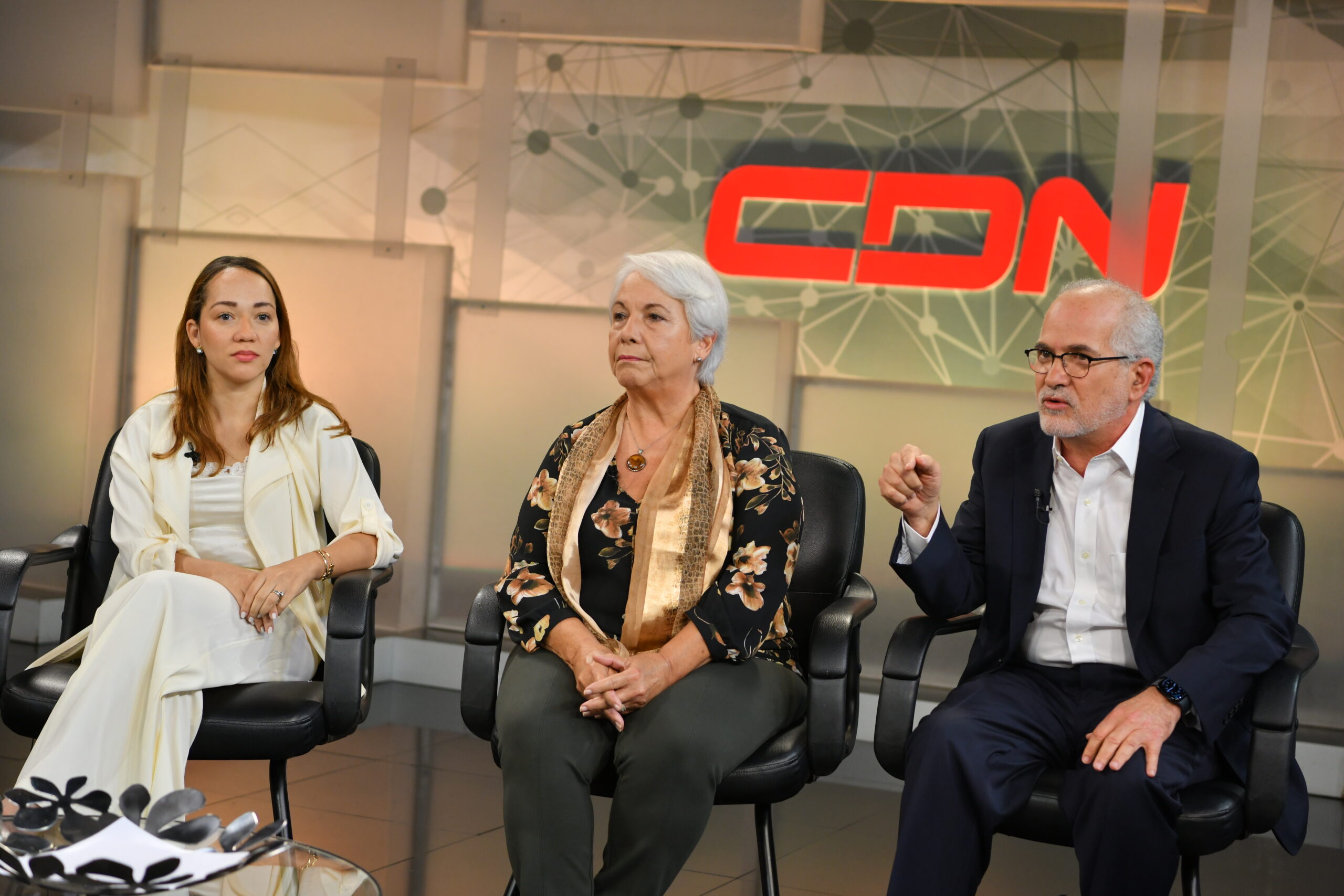 Cámara de Cuentas no entendió la responsabilidad que tenía sobre sus hombros