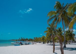 Medio Ambiente emite resolución que prohíbe uso de plásticos en islas Saona y Catalina