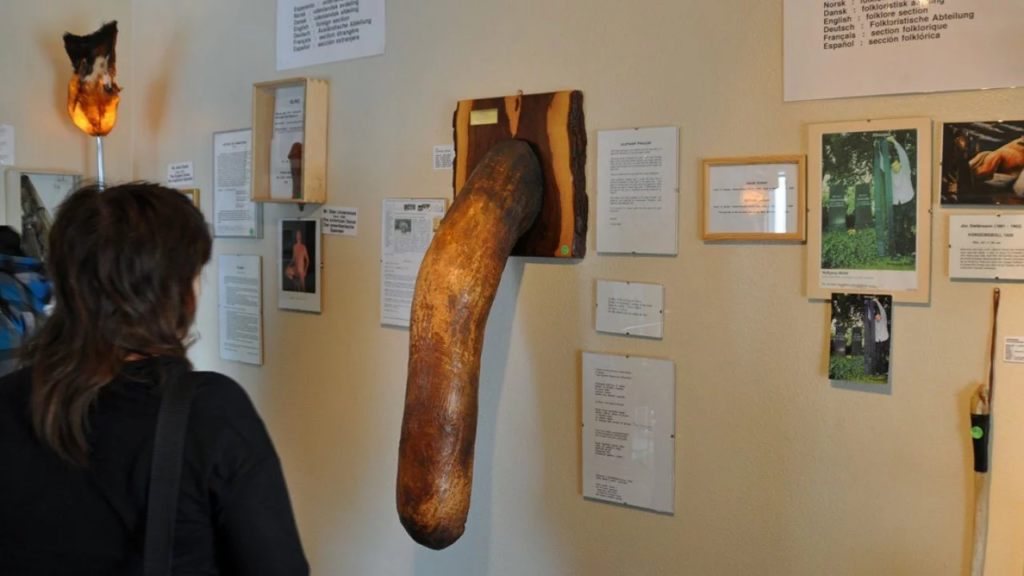 El Museo Del Pene M s Completo Del Mundo