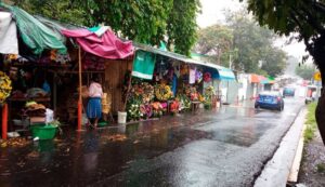Lluvias afectan a compradores y vendedores de plazas agropecuarias 
