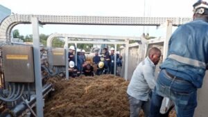 Punta Catalina lamenta muerte de buzo durante retiro de sargazo