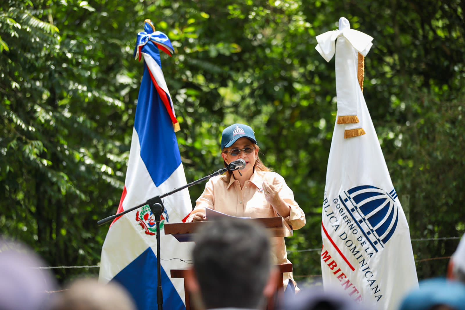 Llaman a la población a sumarse al Plan de Reforestación y Restauración de Ecosistemas