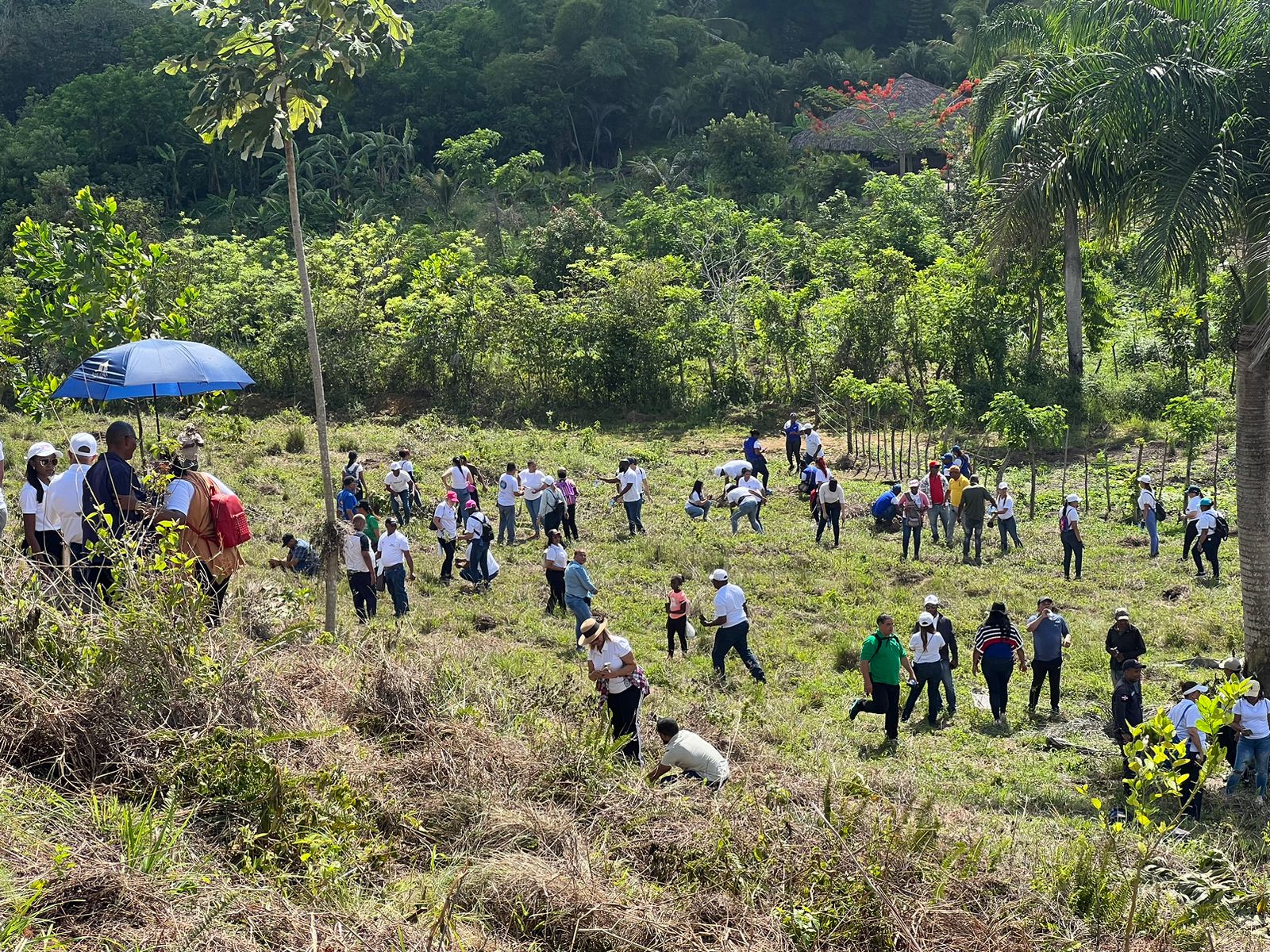 UASD participa en Jornada de Reforestación