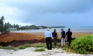República Dominicana liderará diálogo regional en busca del aprovechamiento del sargazo