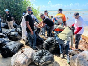Zorrilla Ozuna pide declarar en estado de emergencia la invasión de sargazo en Boca Chica