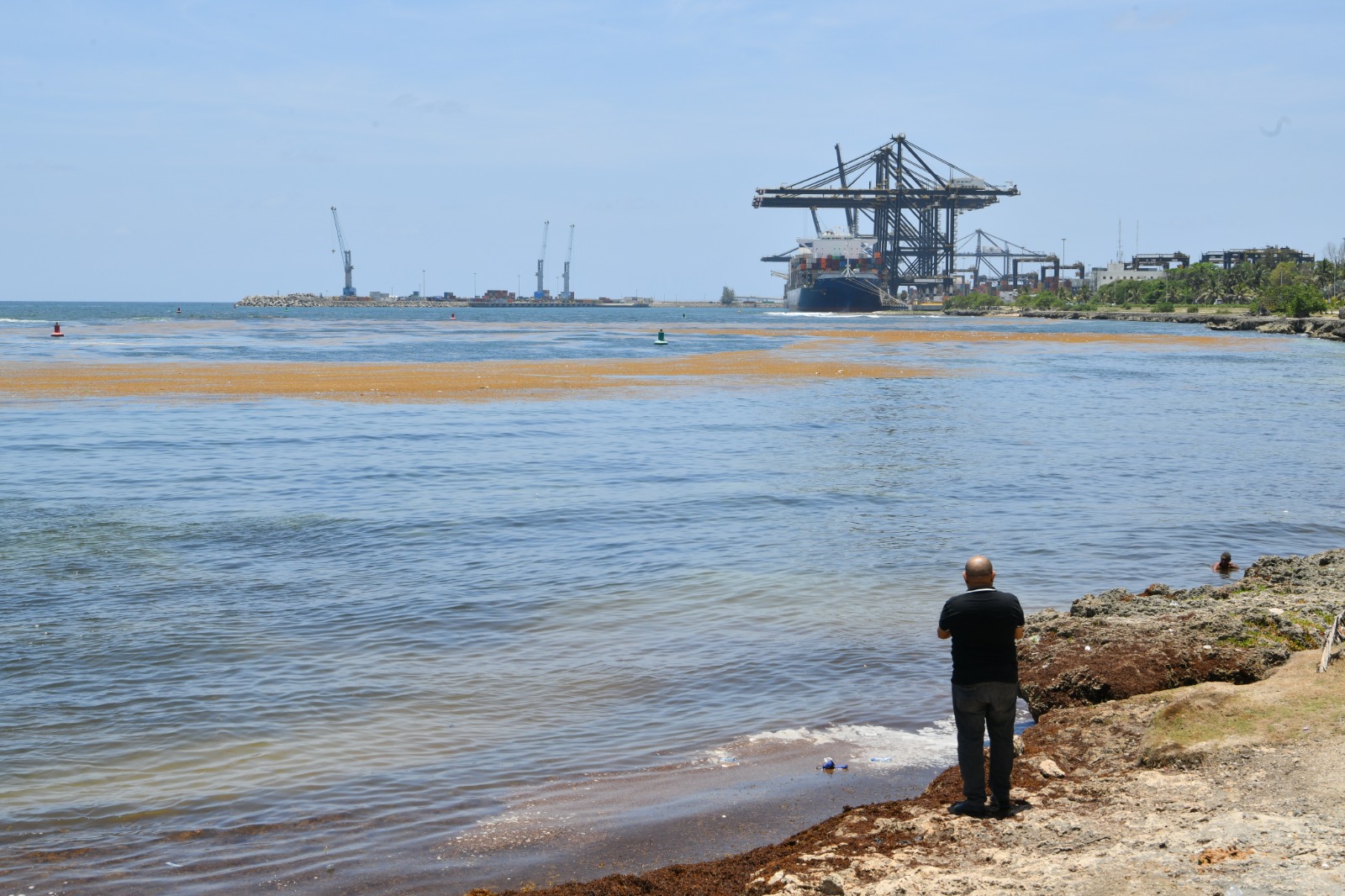 Boca Chica pide ayuda del Gobierno para enfrentar contaminación del sargazo