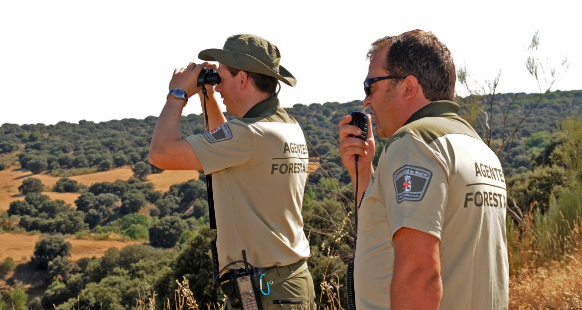 Día Mundial de las Guardas Forestales