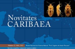 Hallan insecto que podría controlar la plaga del trips del aguacate