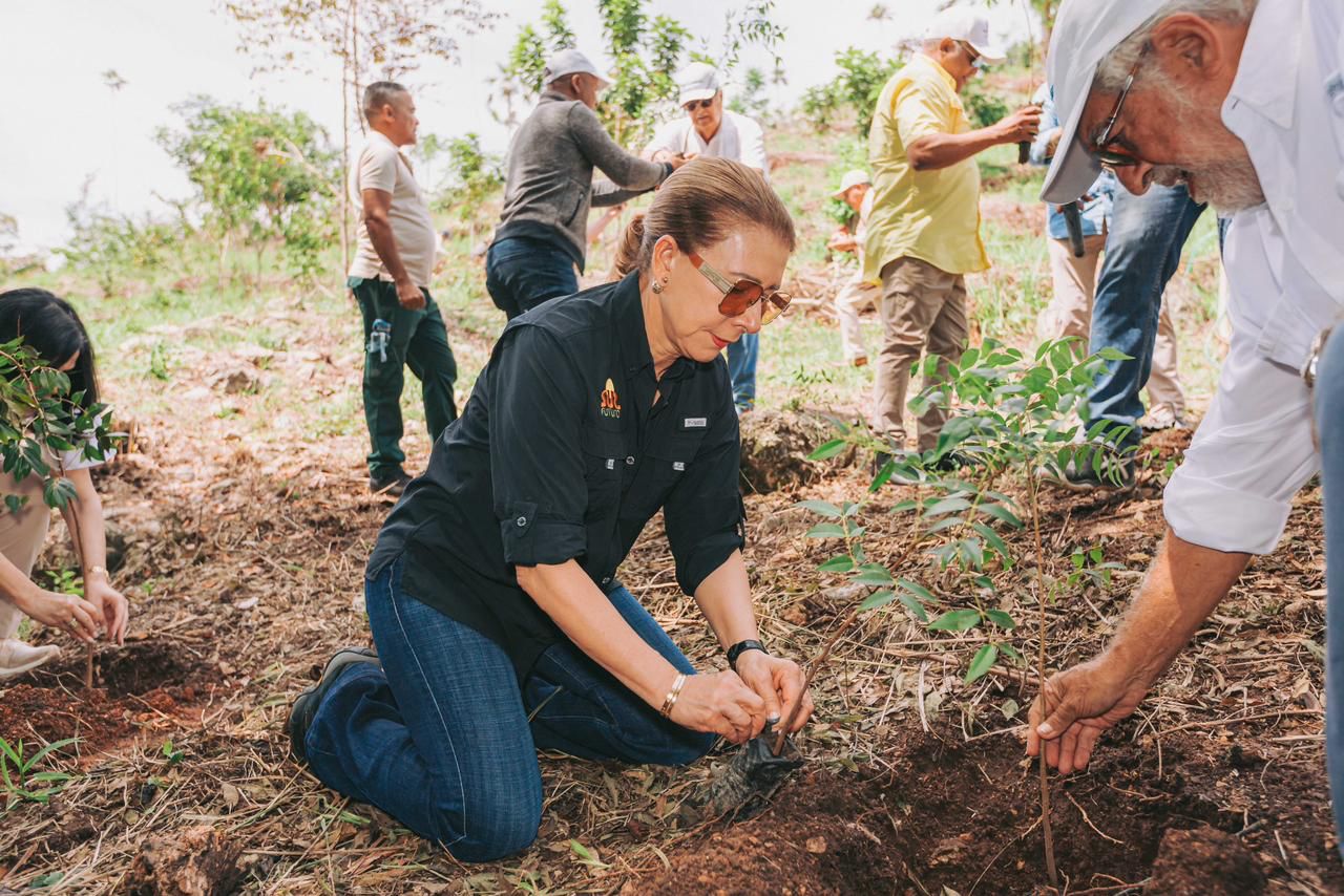Sur Futuro y Consorcio Energético Punta Cana-Macao reforestan área protegida