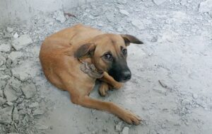 Piden terminar construcción de Policlínica La Collera en Río San Juan