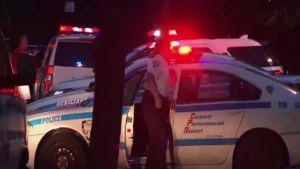 Arrestan sospechosos de agresiones sexuales dentro de parque en Manhattan