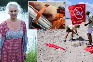 Ataque de un tiburón a mujer provoca el cierre de una de las playas más conocidas de Nueva York