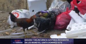 Basura y delincuencia azotan a residentes en los mameyes 