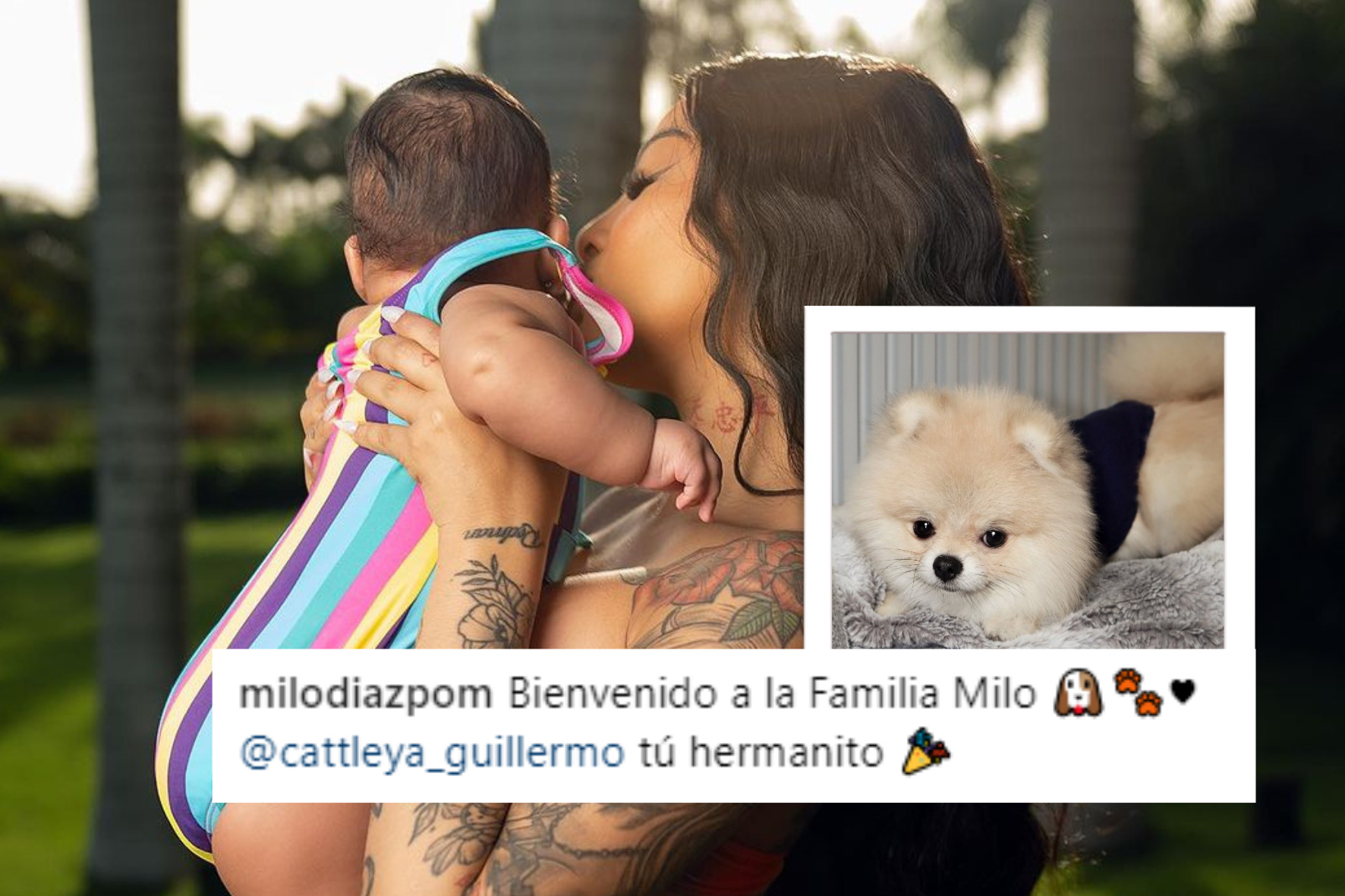 Yailin presenta a Milo, el nuevo hermanito de Cattleya