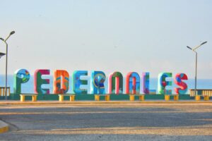 Pedernales 