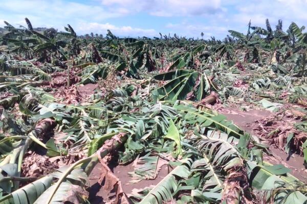 Limber Cruz acude a zona de impacto de tornado en La Vega