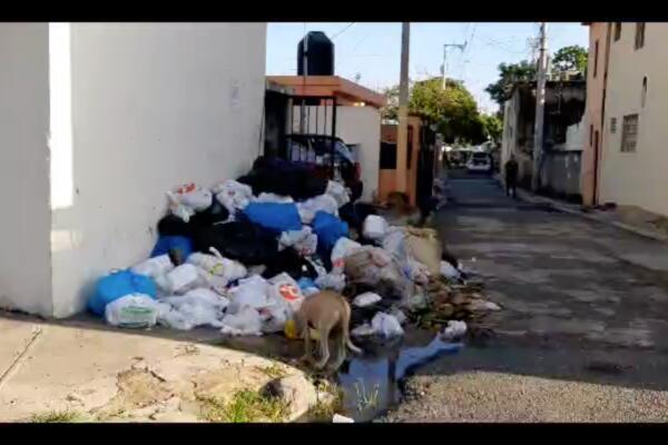 Denuncian deficiente Recogida de Basura en Ensanche Isabelita