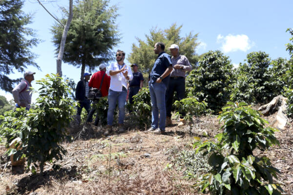 Medio Ambiente dice trabaja en la detección de ilícitos ambientales en Manabao