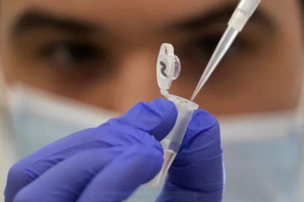 Pirola: nueva variante del coronavirus que pone en alerta a la OMS