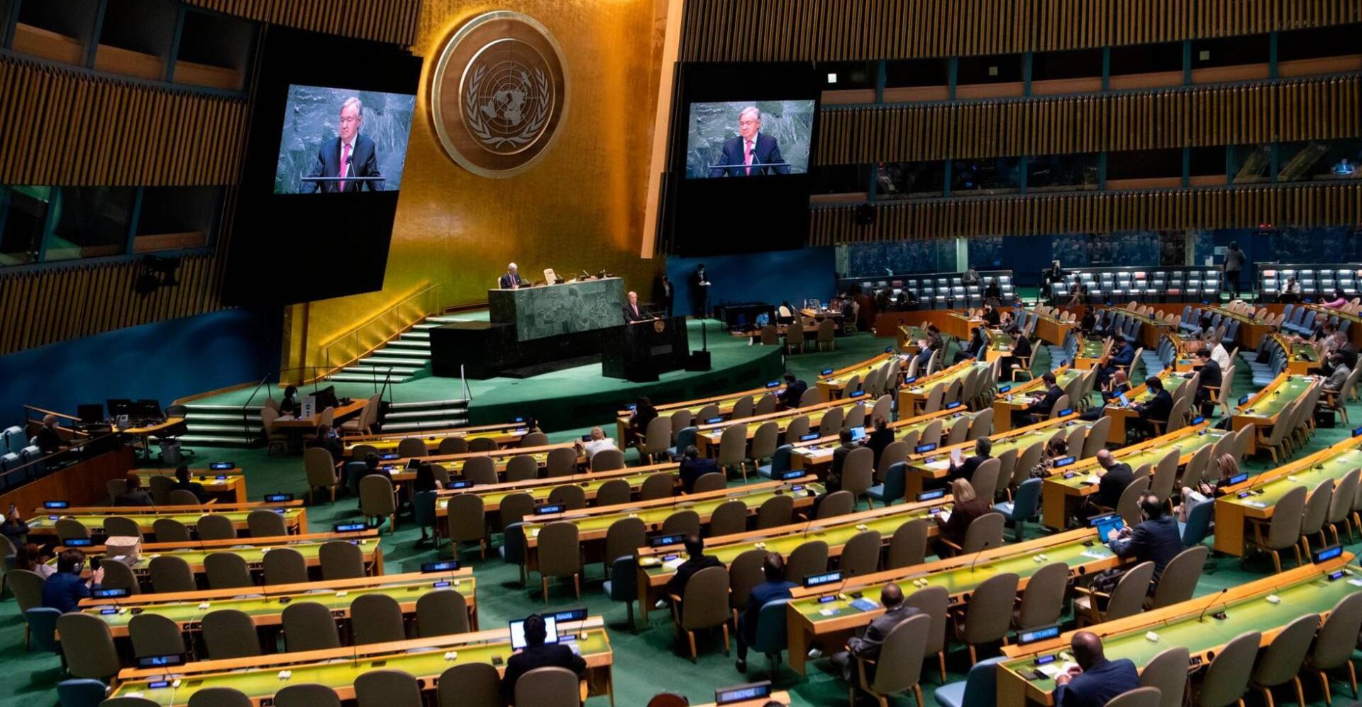 Asamblea General de la ONU