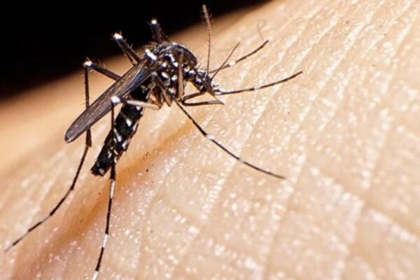 En La Senda, claman a las autoridades intervengan el sector ante casos de dengue